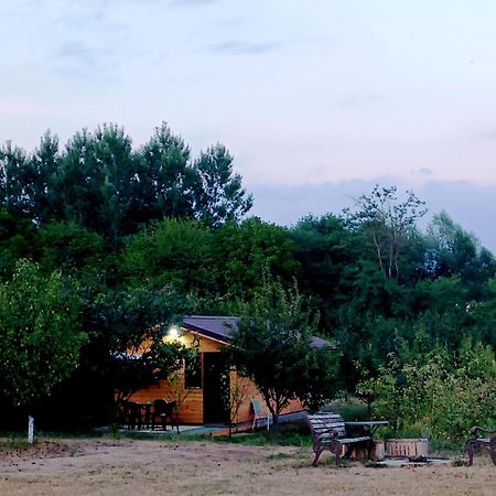 Villa La Livada Valea Danului Exterior foto
