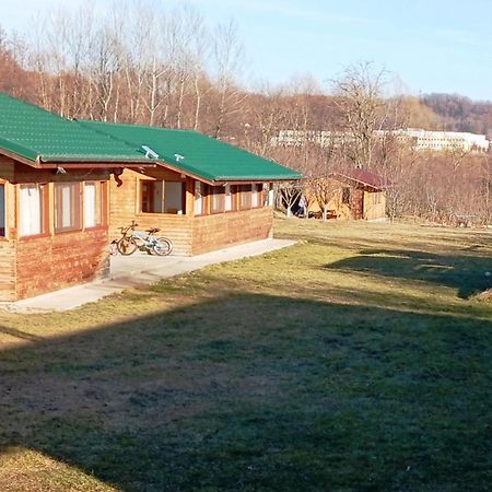 Villa La Livada Valea Danului Exterior foto