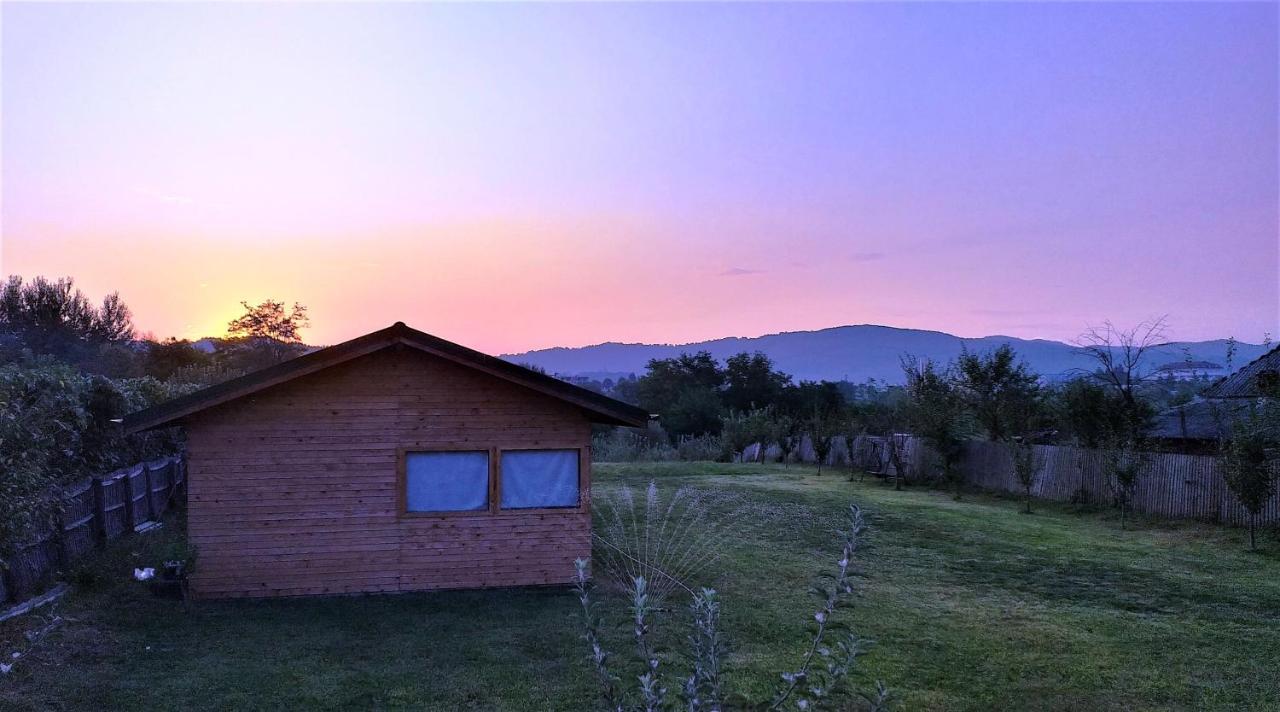 Villa La Livada Valea Danului Exterior foto