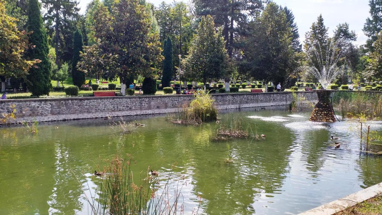 Villa La Livada Valea Danului Exterior foto